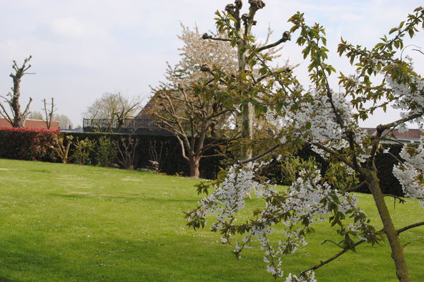 Tuin en terras