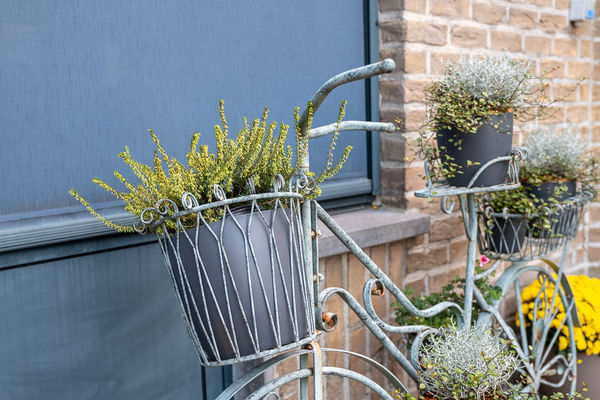 Tuin en terras