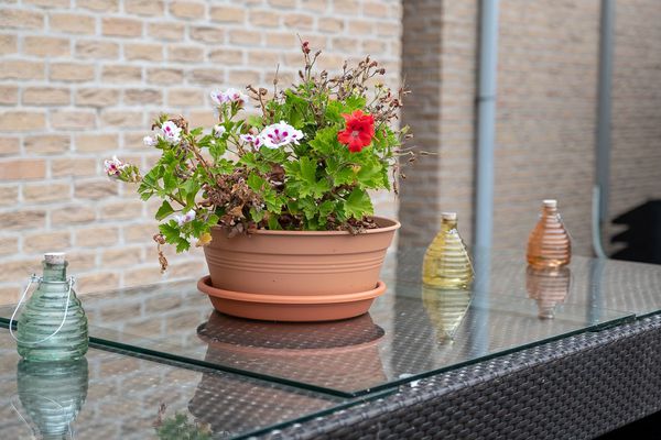 Residentie Manoir Fleuri