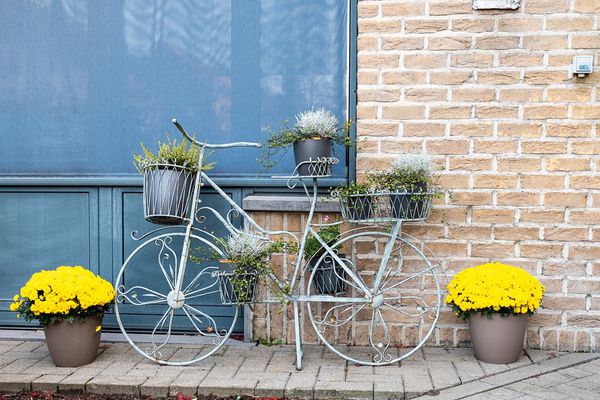 Residentie Manoir Fleuri