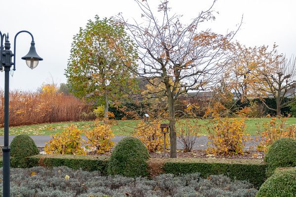 Residentie Manoir Fleuri